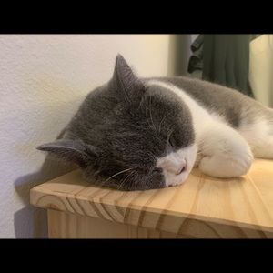 Meet your Posher, Rita